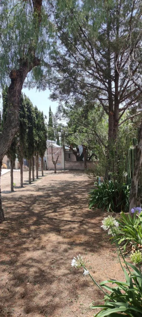 Terreno Spot2