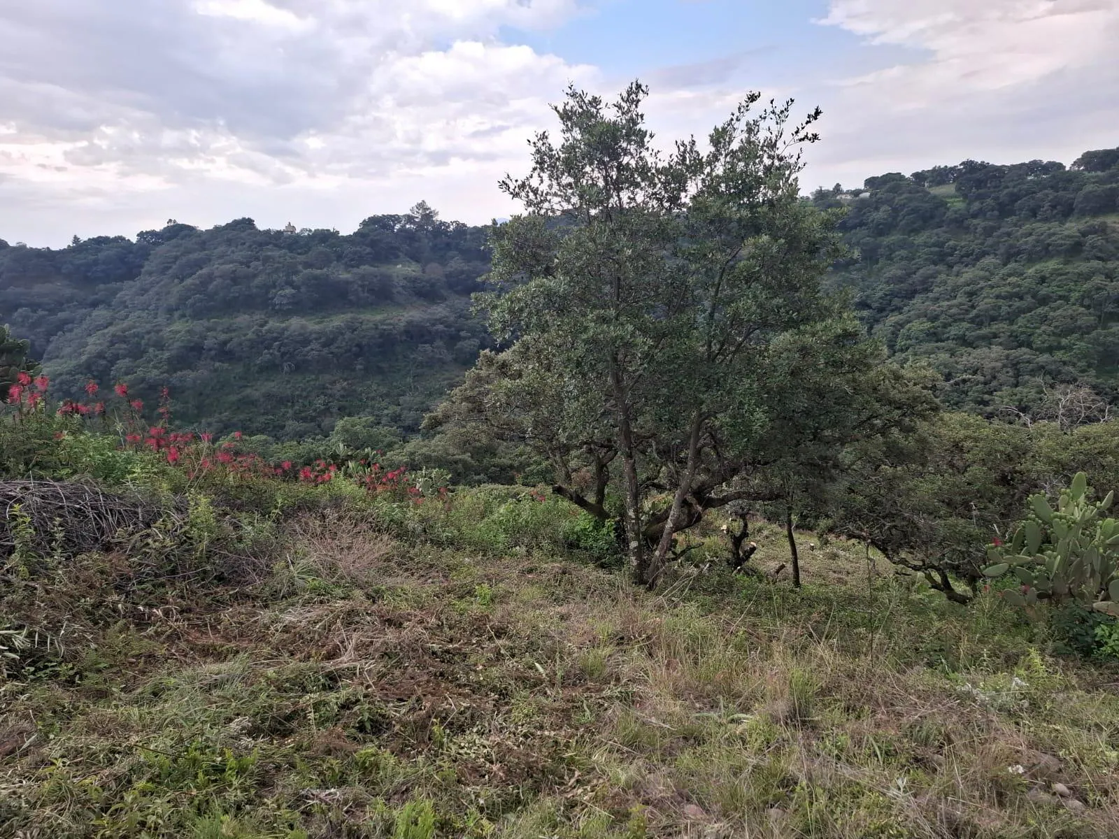 Terreno Spot2