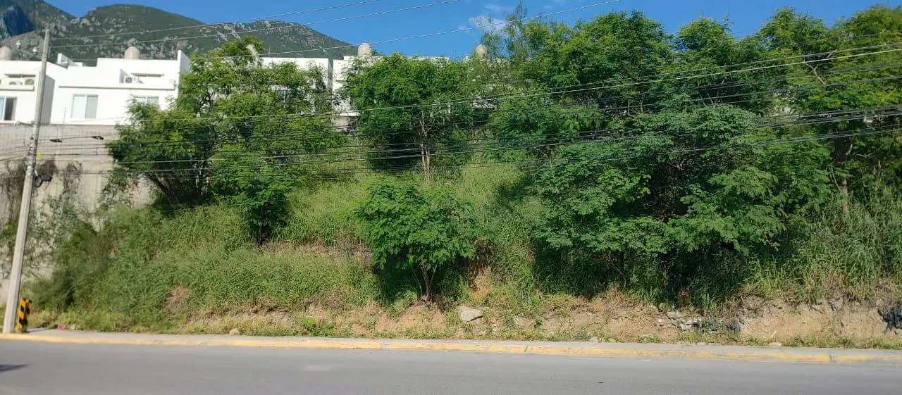 Terreno Spot2