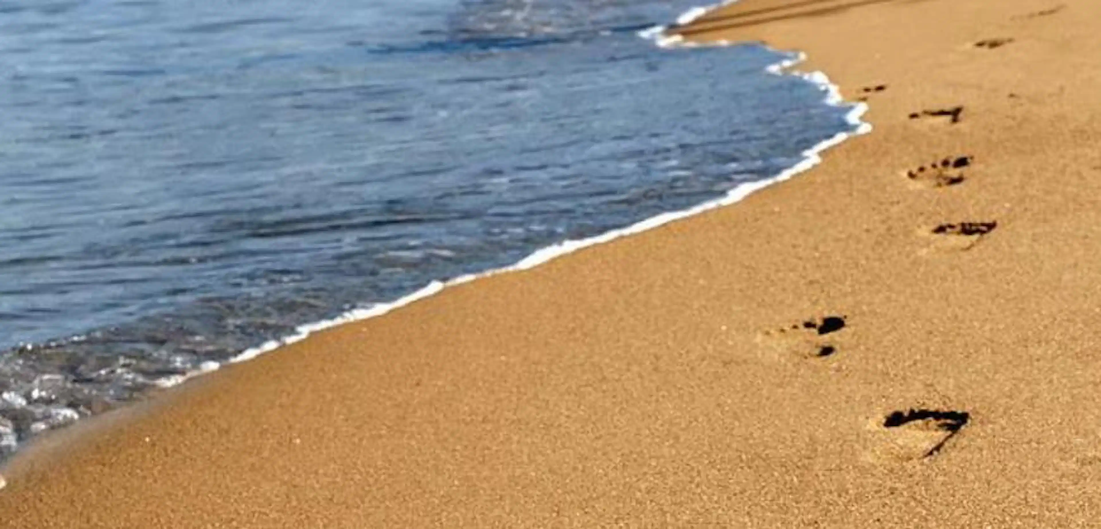 Terreno En Venta En Playa Novillero Nayarit