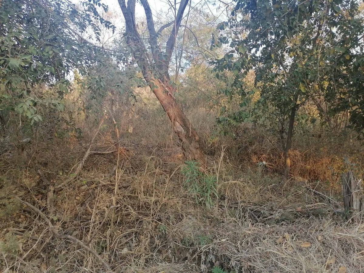 Terreno Spot2