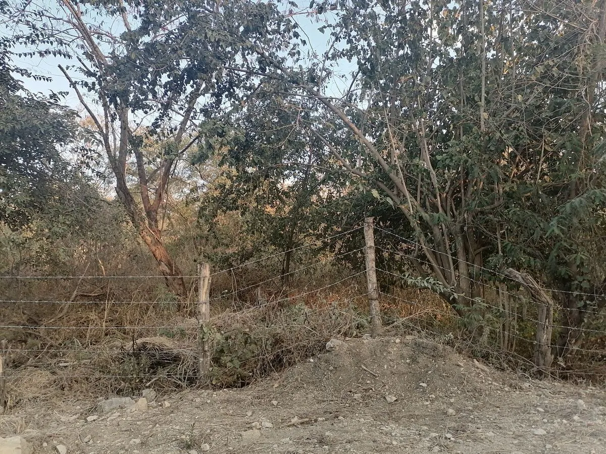 Terreno Spot2