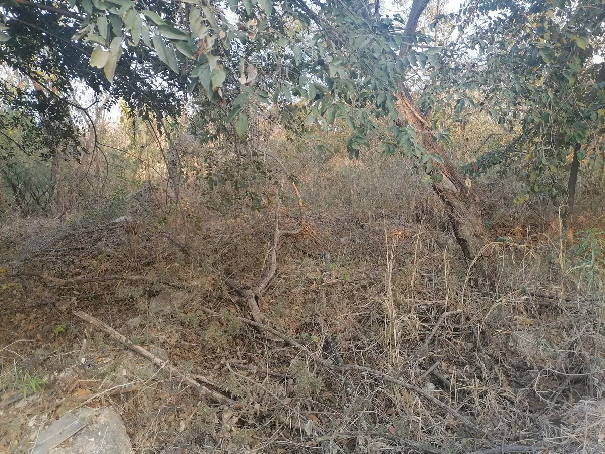 Terreno Spot2