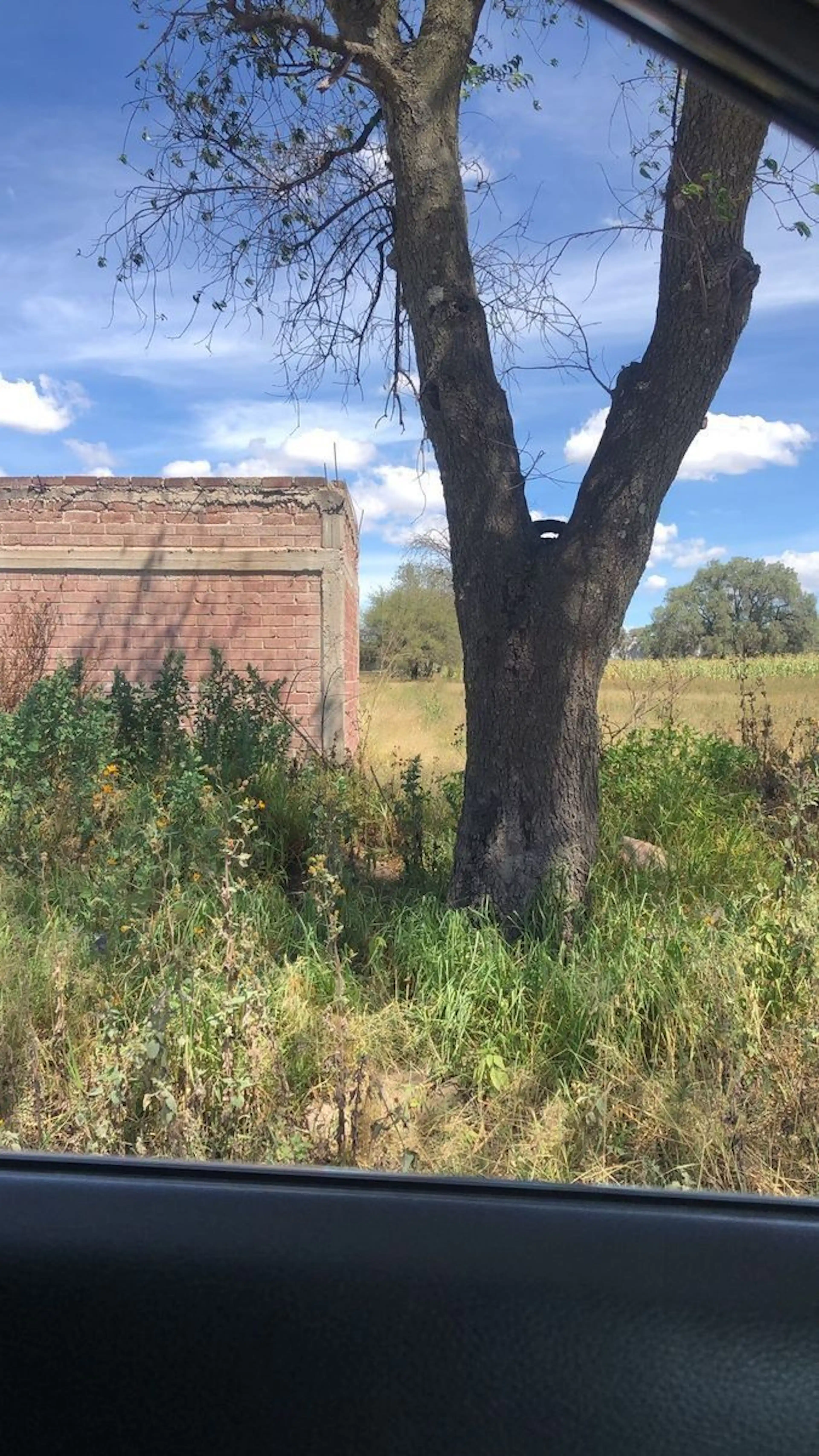 Terreno en Venta en Zumpango