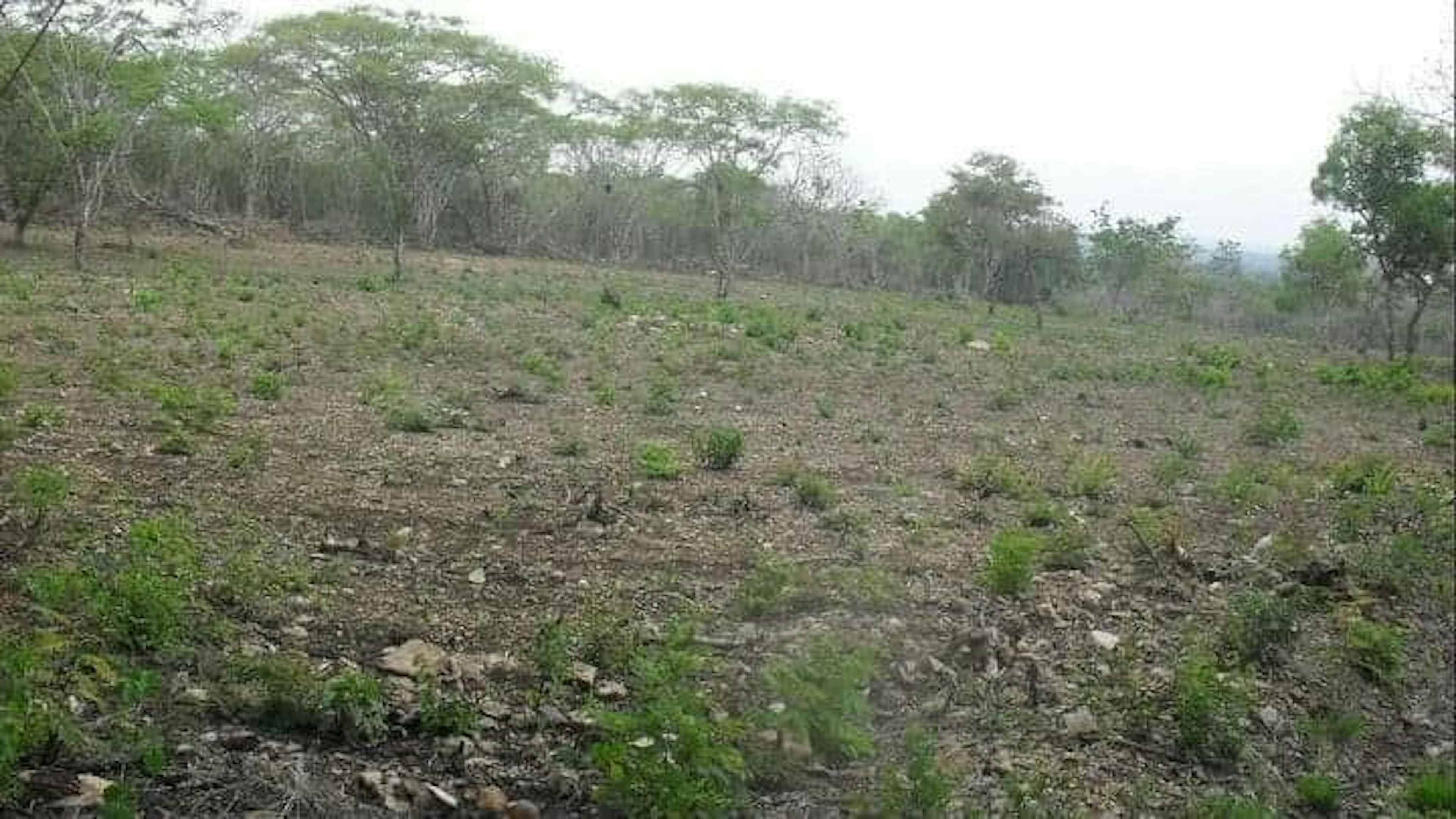 San Pedro Tapanatepec- Tuxtla Gutierrez 158