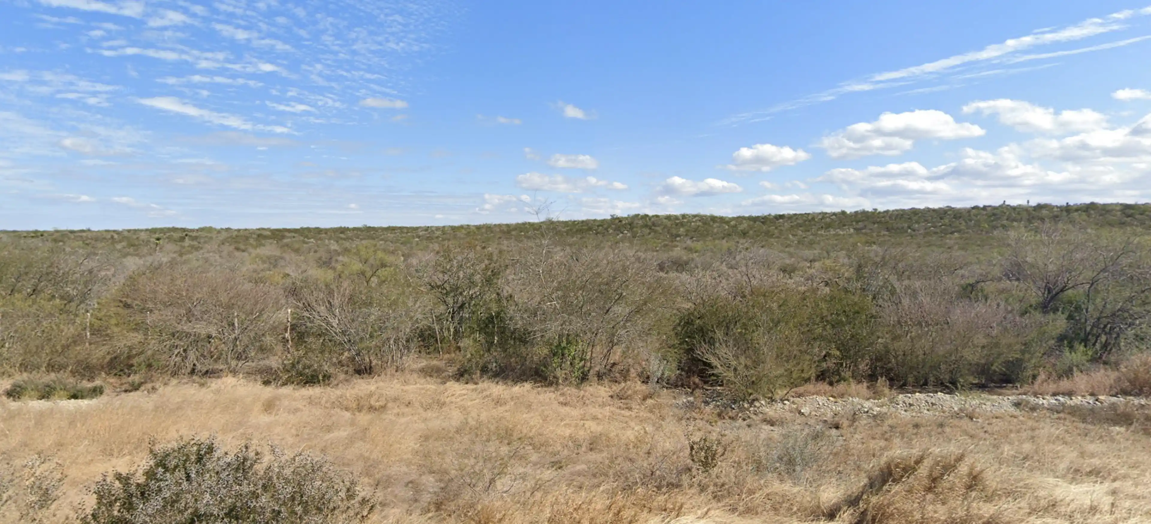 Lote 77