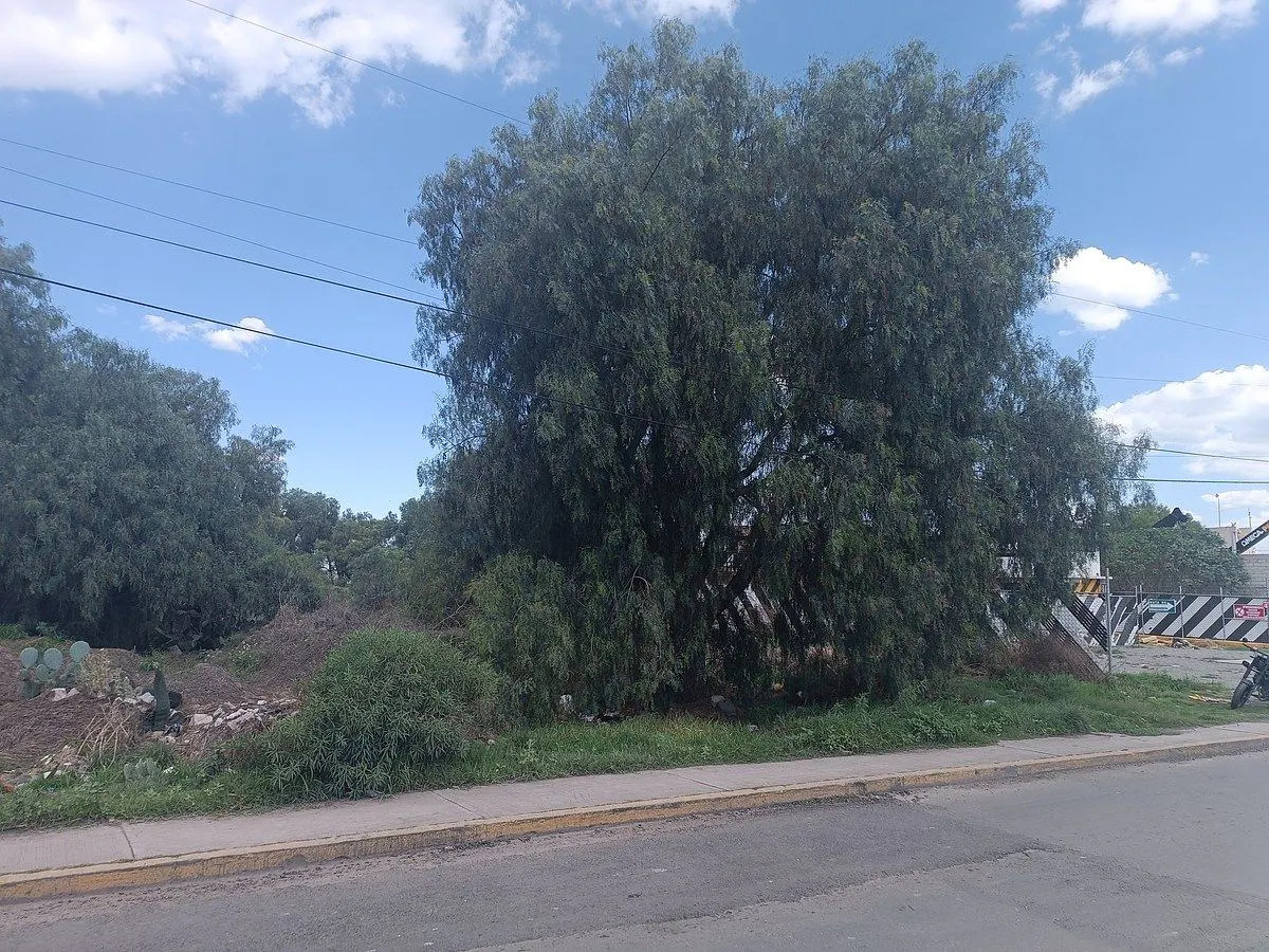 Terreno Spot2