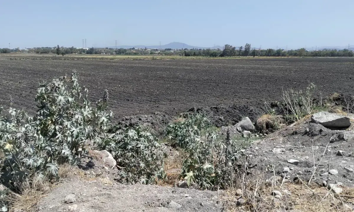 Terreno Spot2