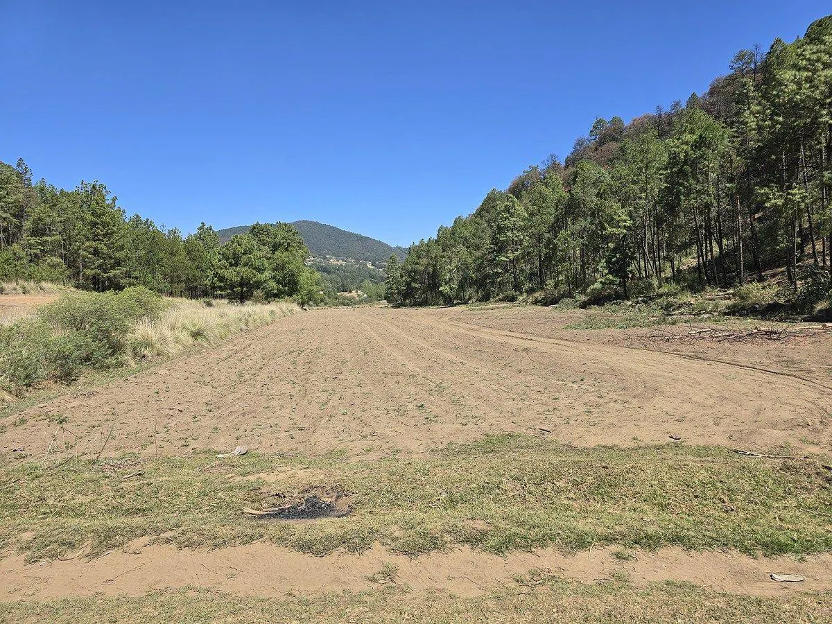 Terreno Spot2