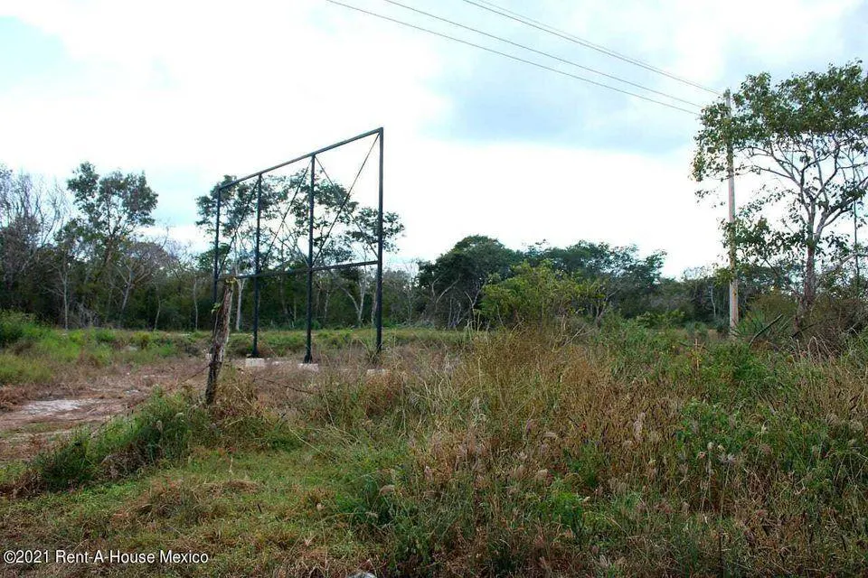 Terreno Spot2