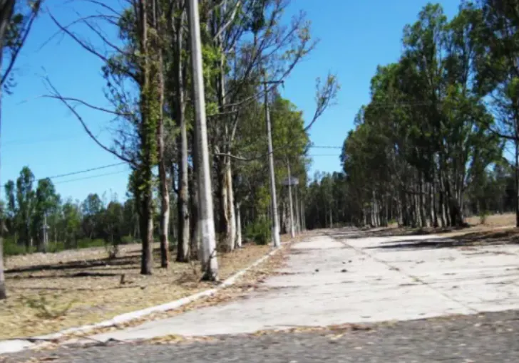 Terreno Spot2