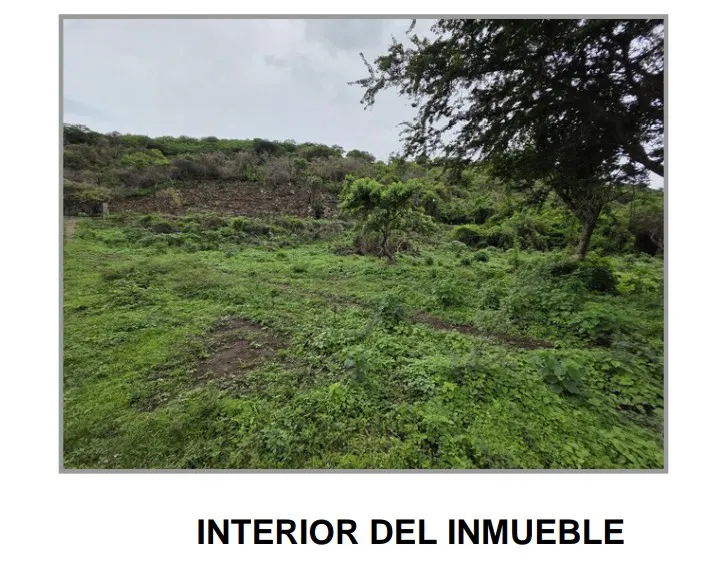 Terreno Spot2