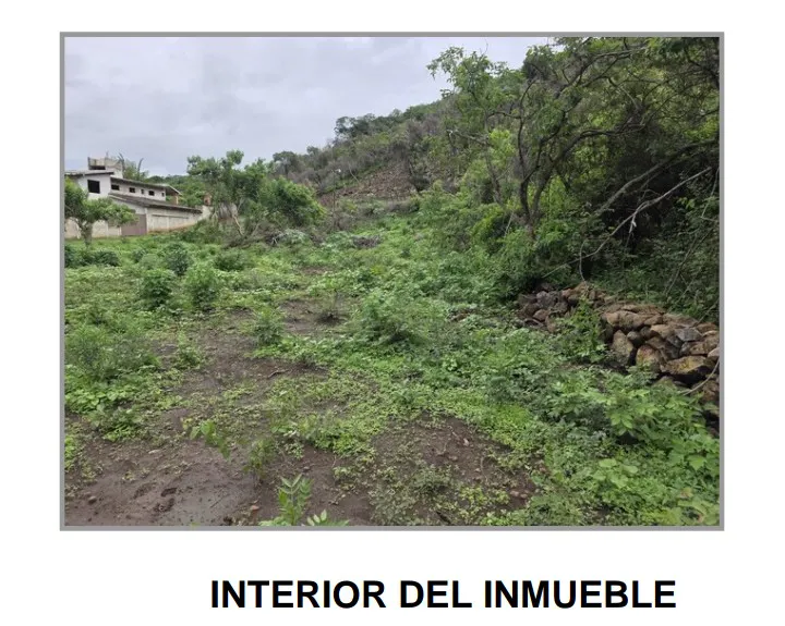 Terreno Spot2