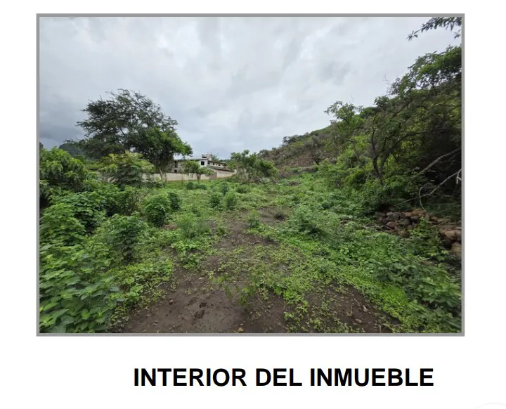 Terreno Spot2