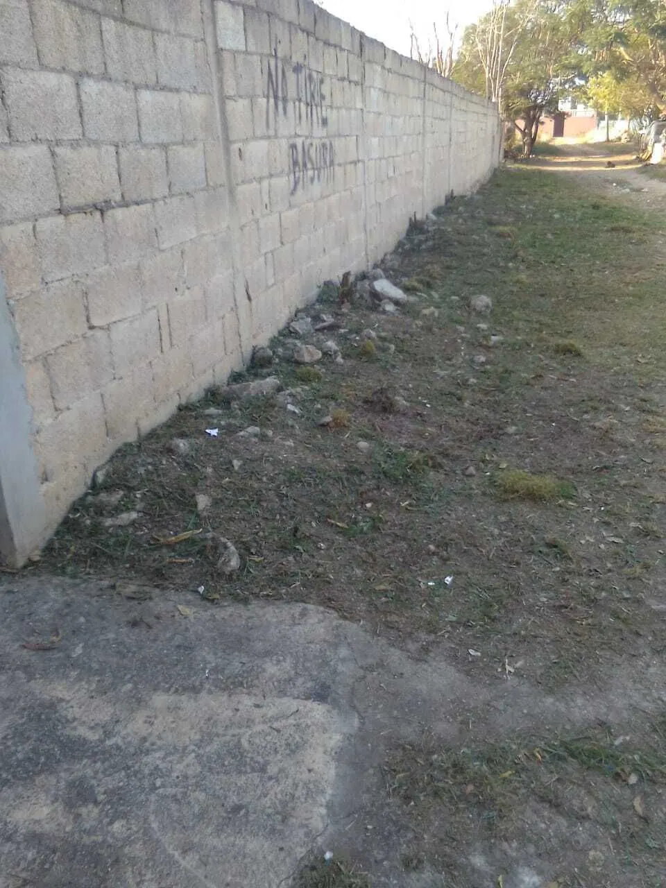 Terreno Spot2