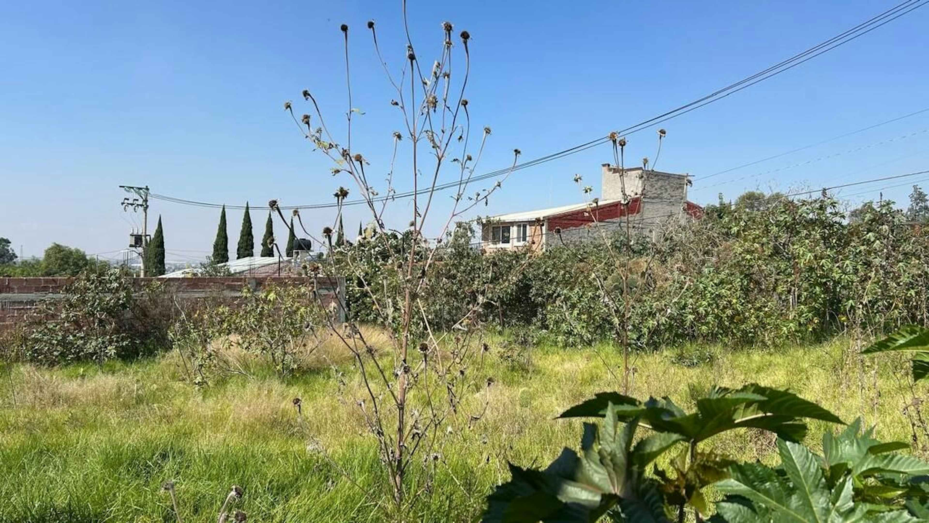 Terreno En Venta En La Purificación Texcoco