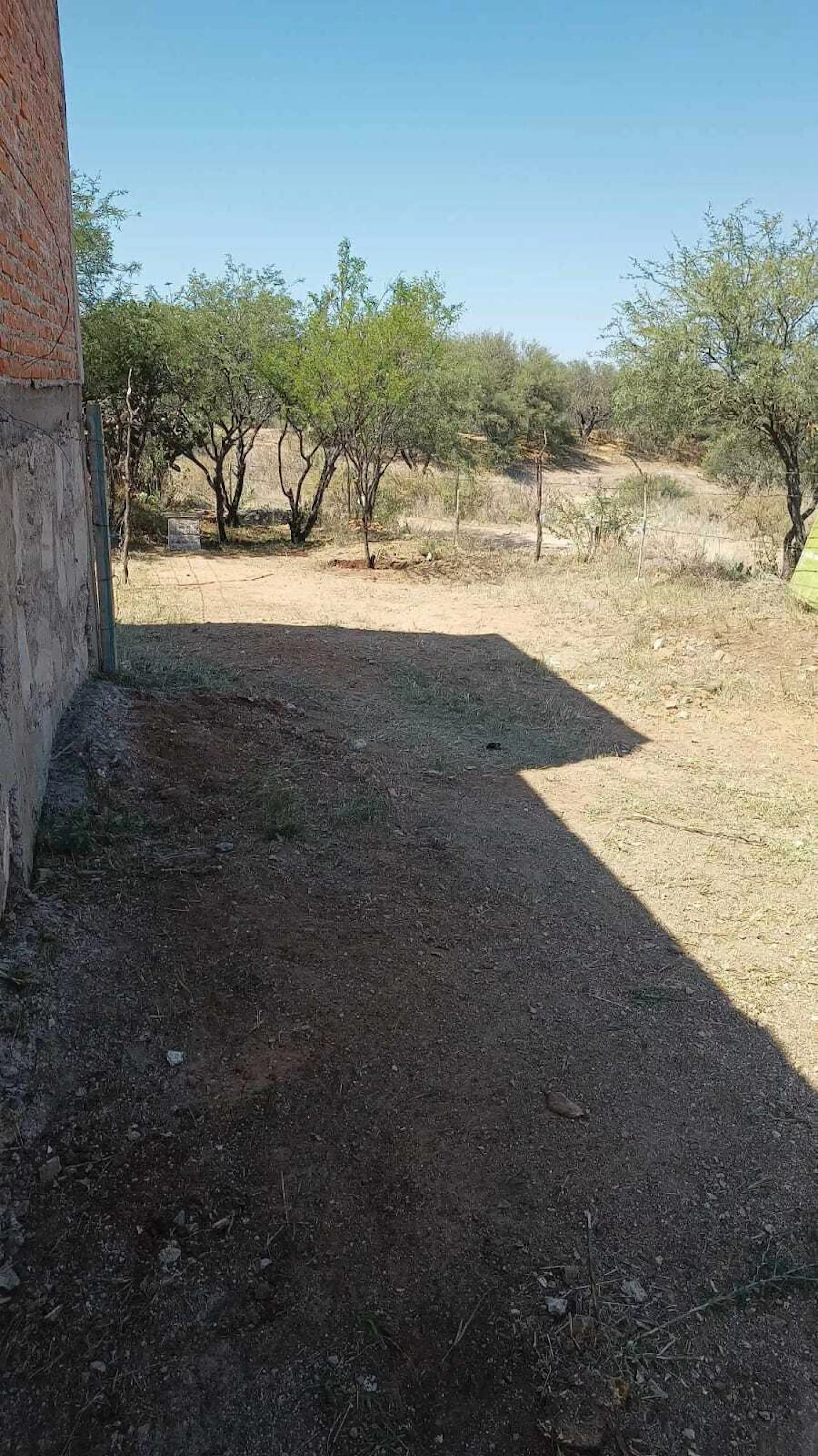 Terreno en excelente condiciones