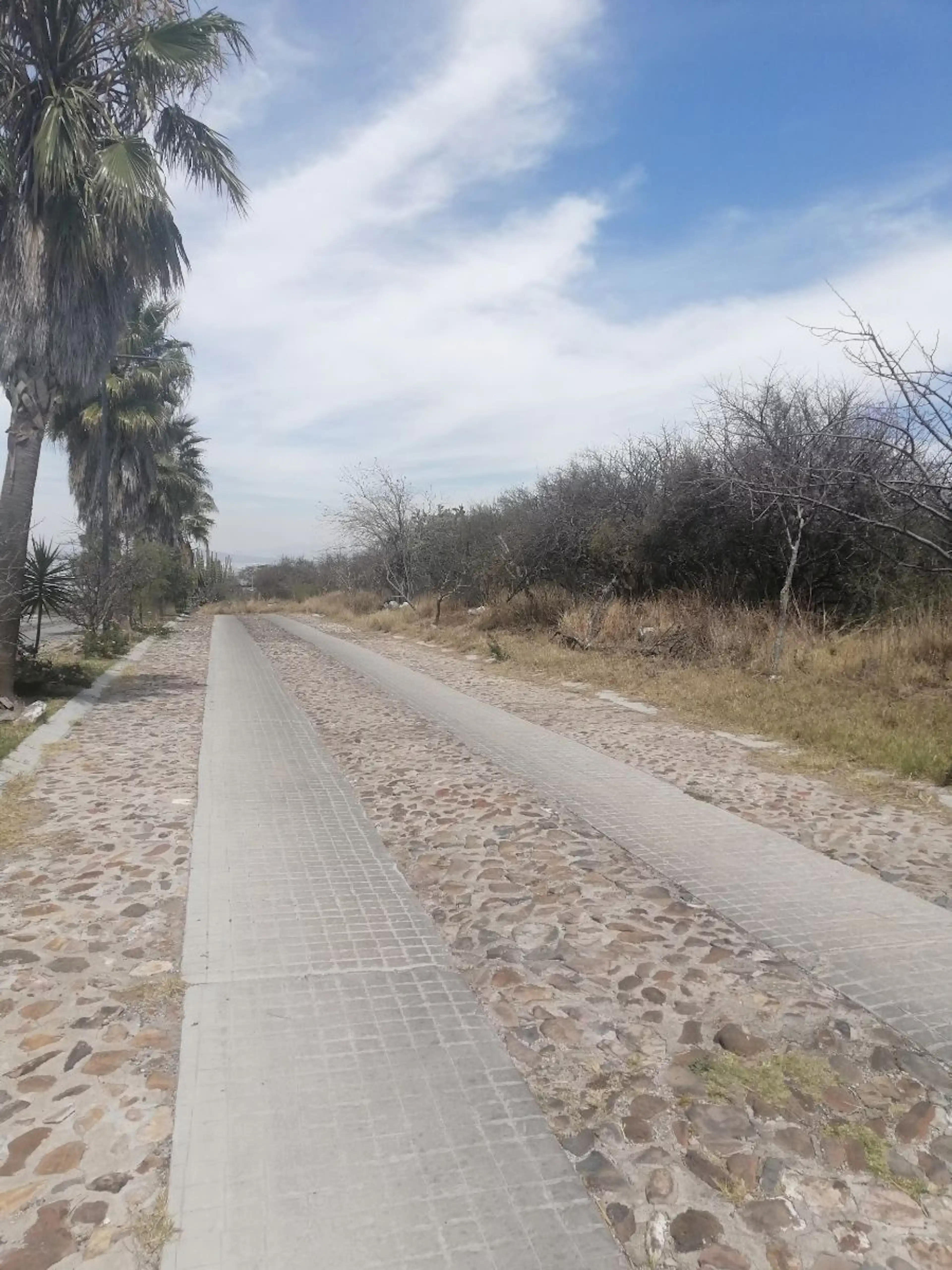 TERRENO EN ZONA EXCLUSIVA