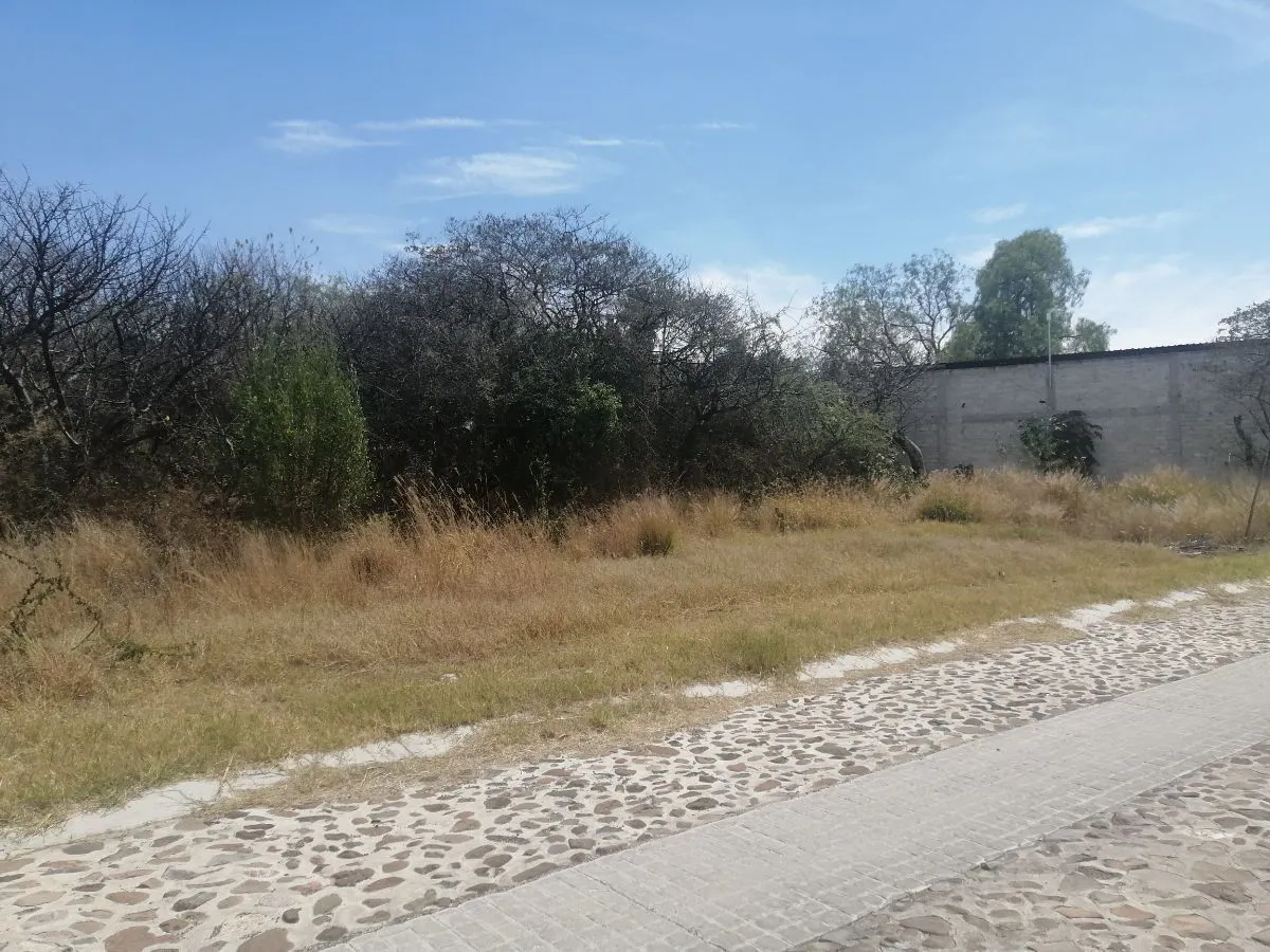 Terreno Spot2