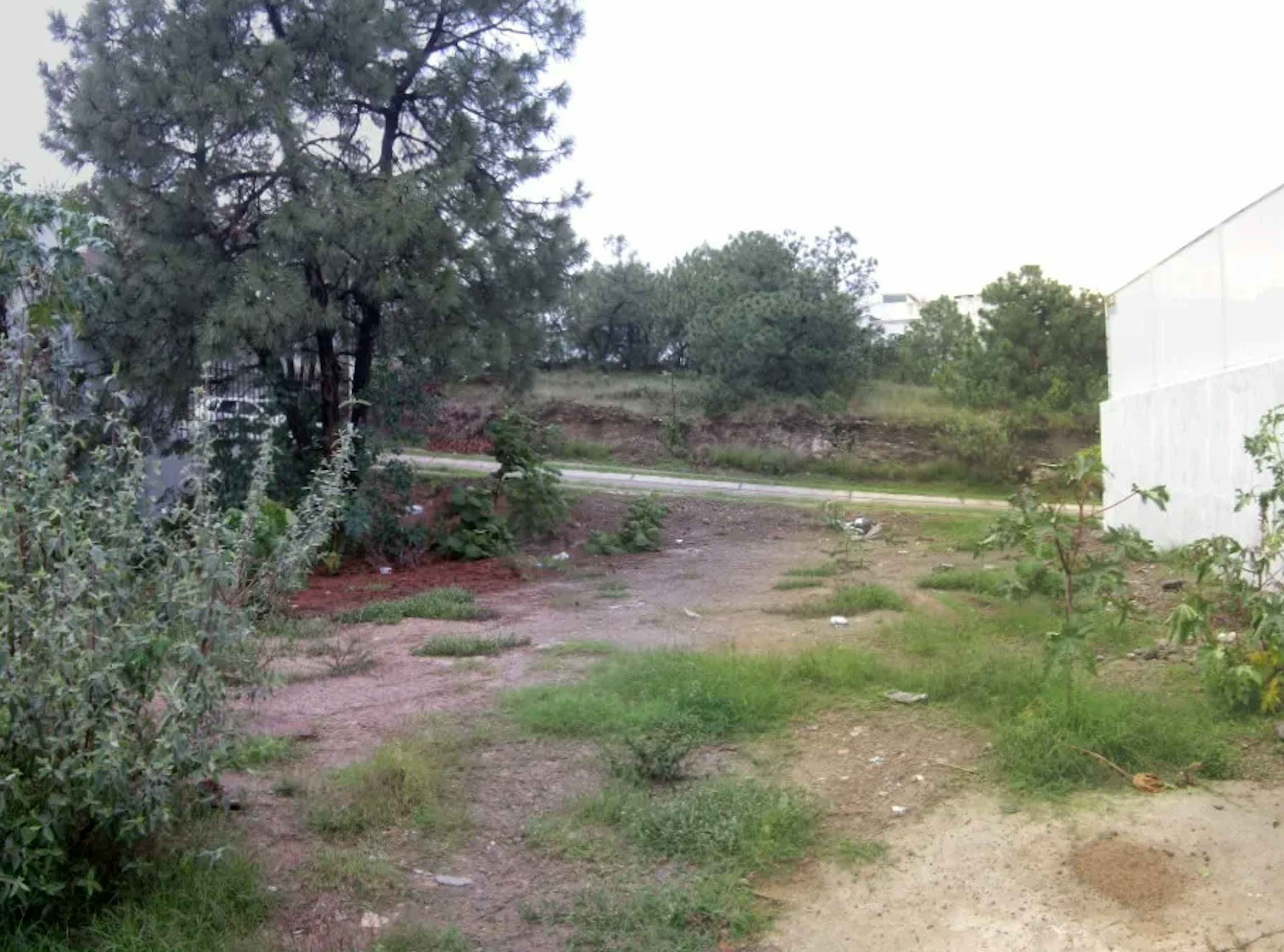 Paseo Del Bisonte 75