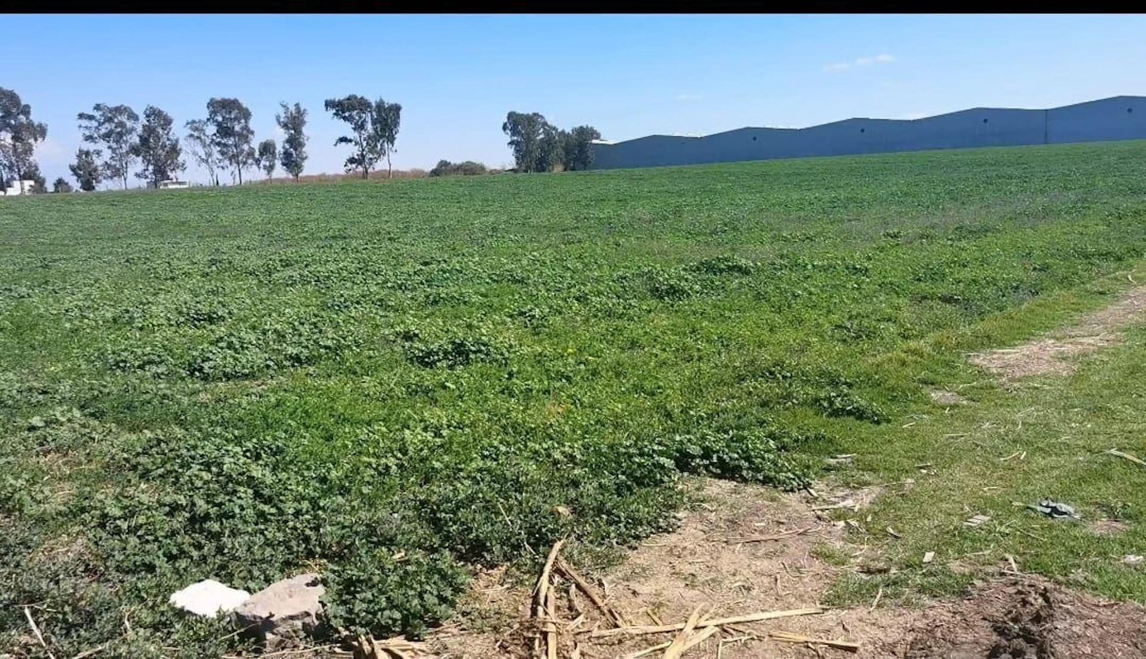 Se Vende Terreno Cerca De Chipilo  En San Gregorio Atzompa