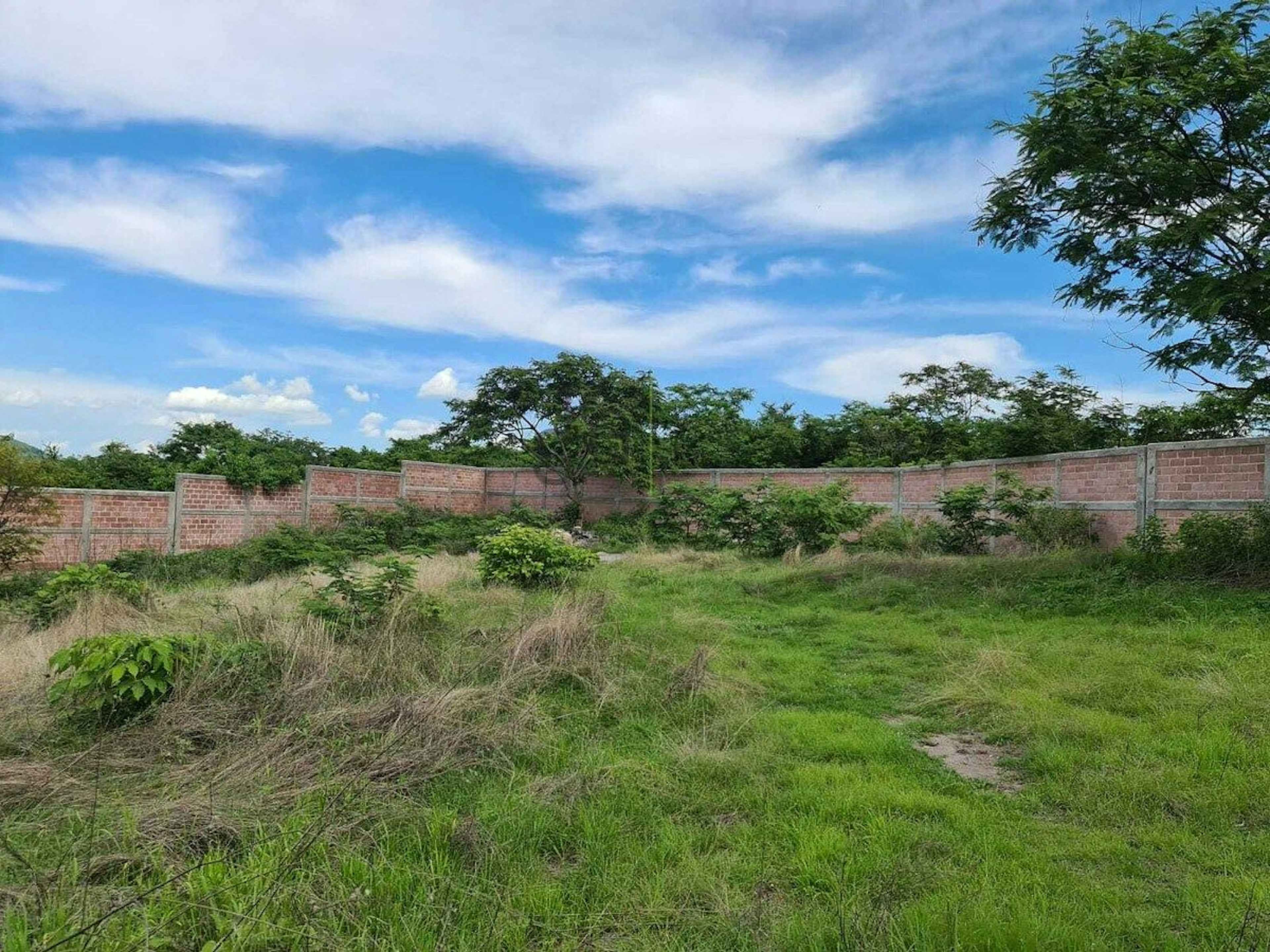 Terreno En Venta Sobre Carretera Federal Alpuyecas–grutas, Xochitepec, Morelos