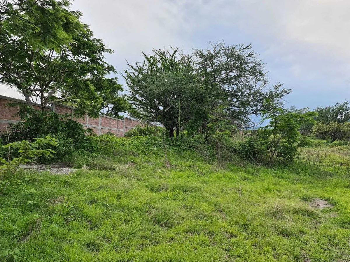 Terreno Spot2
