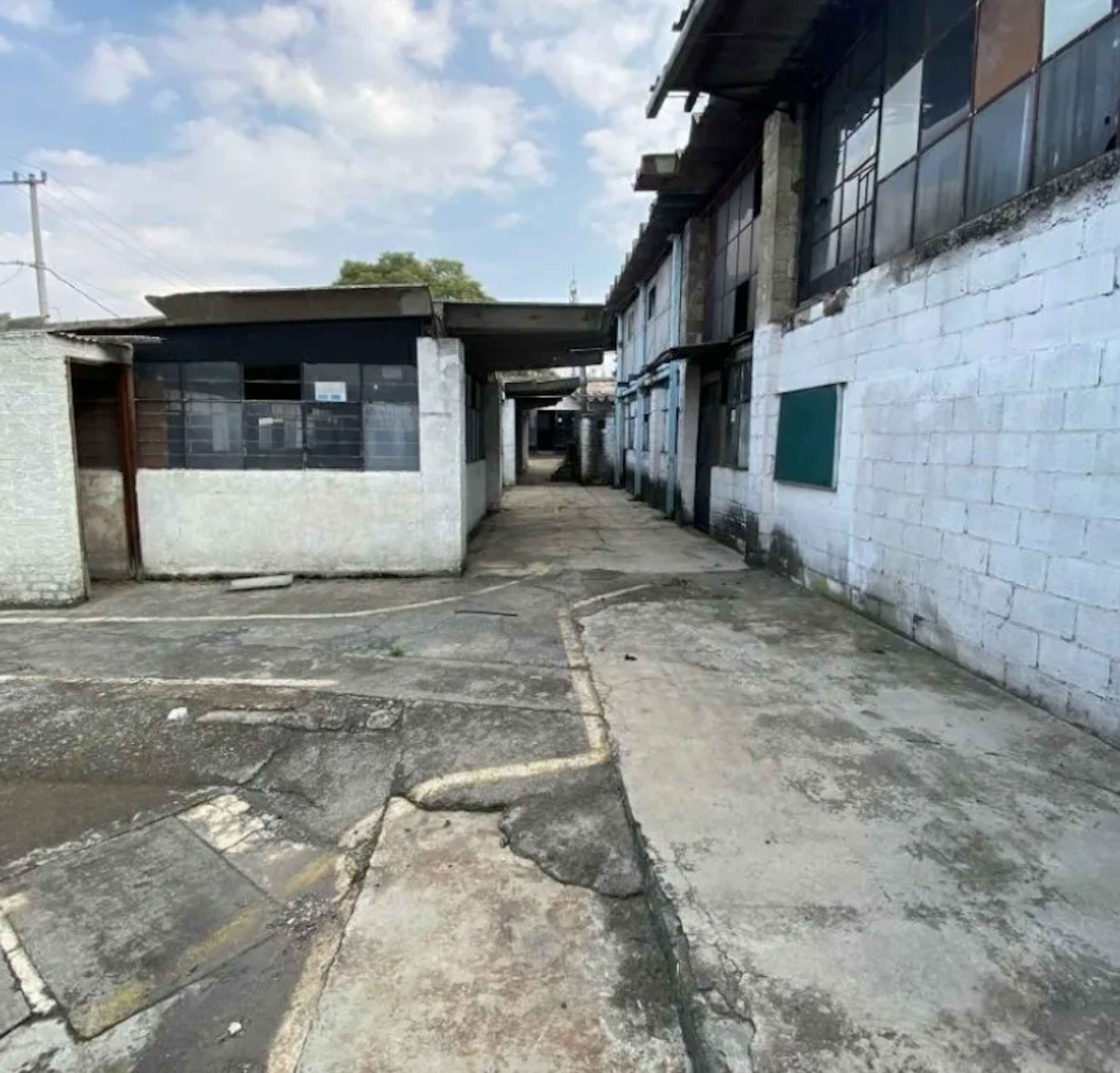 Avenida Insurgentes Sur