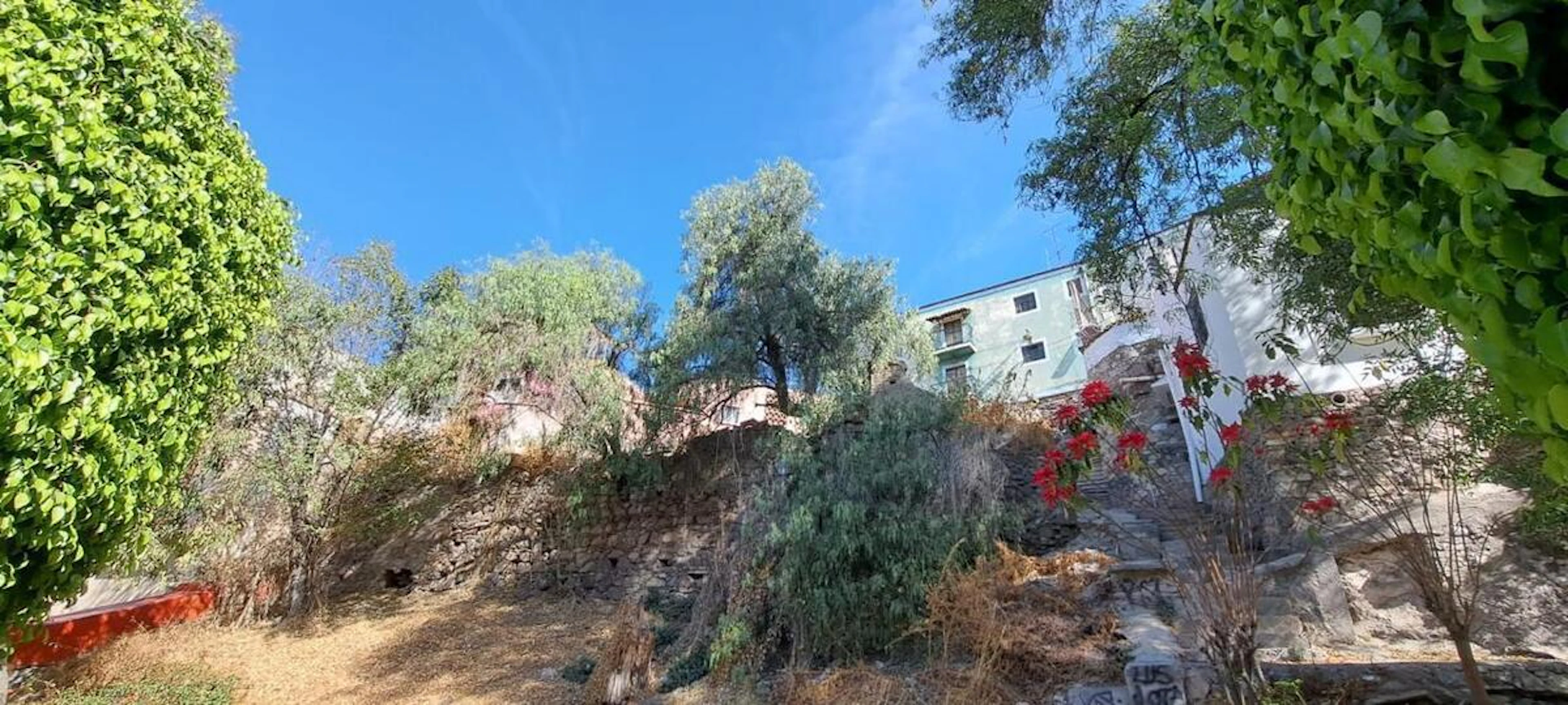 Terreno Spot2