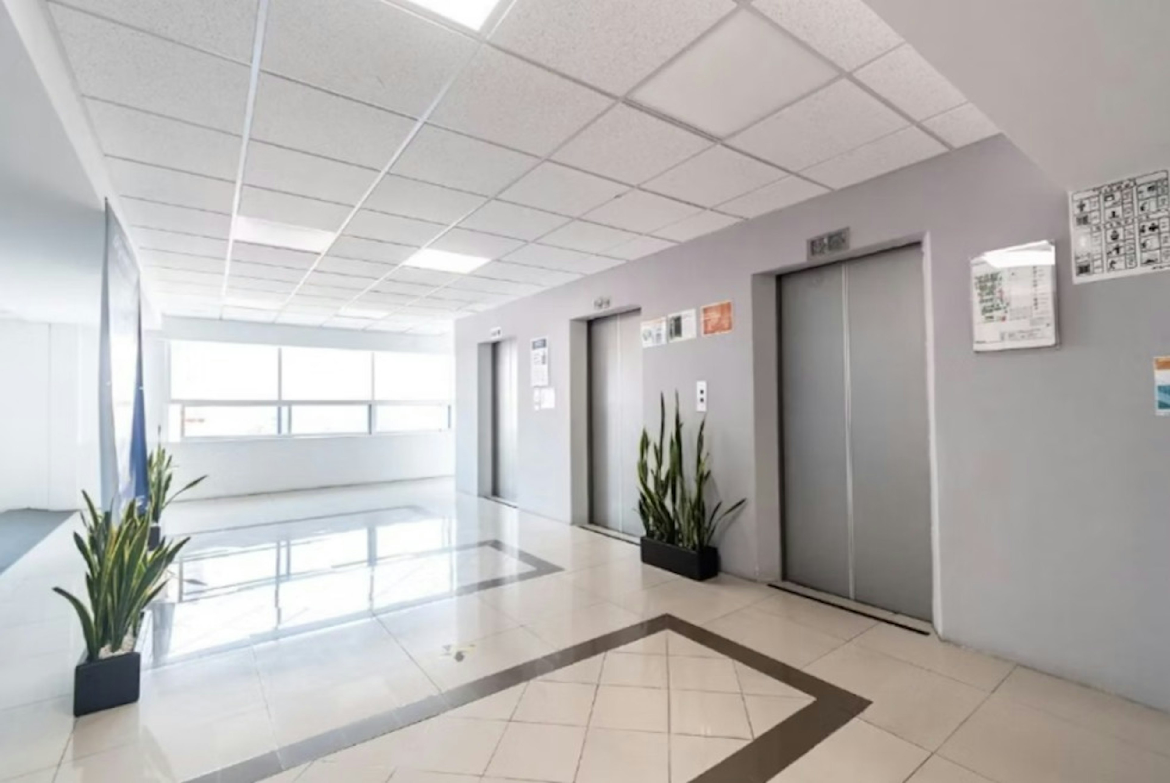 Nivel 1, 5 Y 4-photo