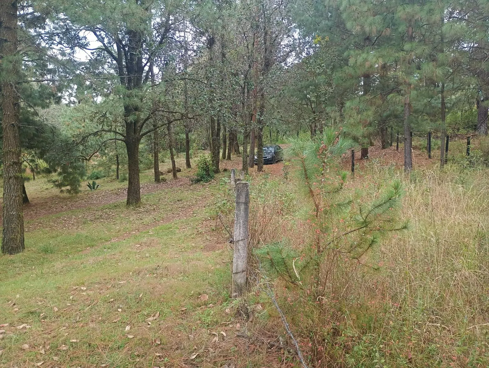 Terreno Spot2