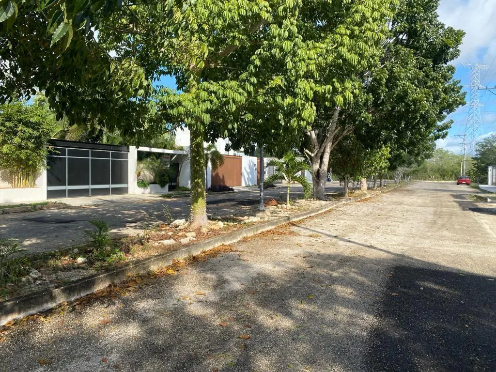 Terreno Spot2