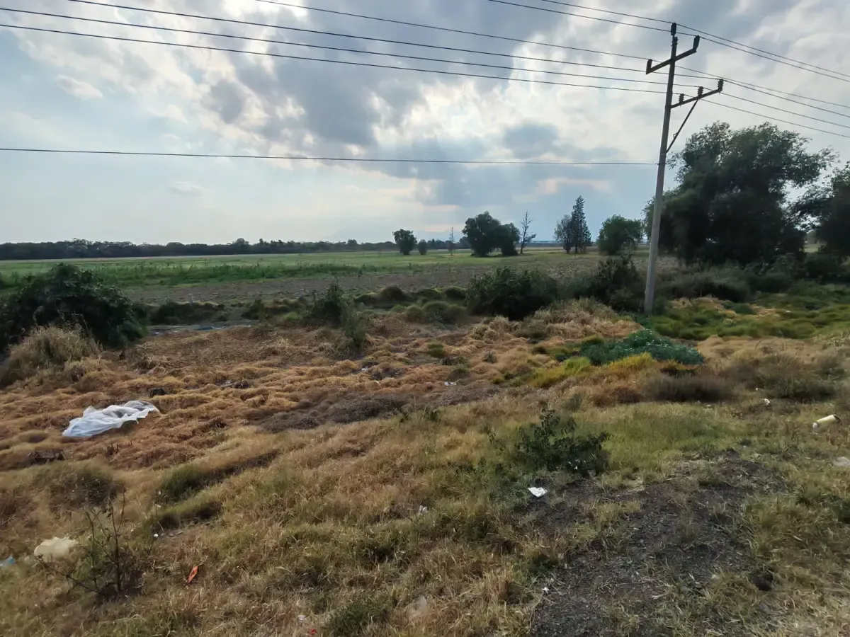 Terreno Spot2