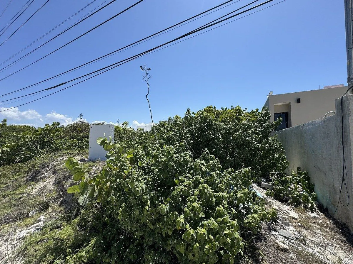 Terreno Spot2