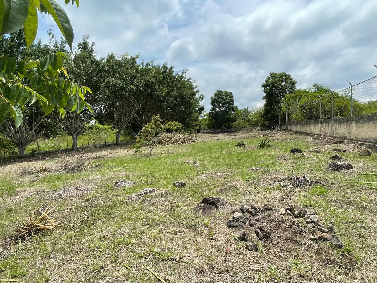 Terreno Spot2
