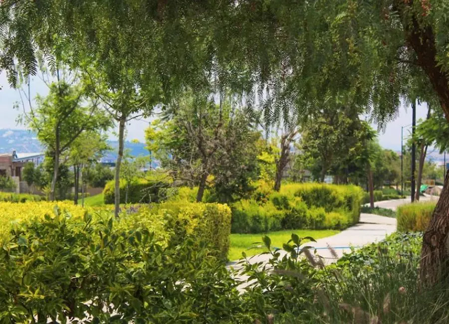 Terreno Spot2