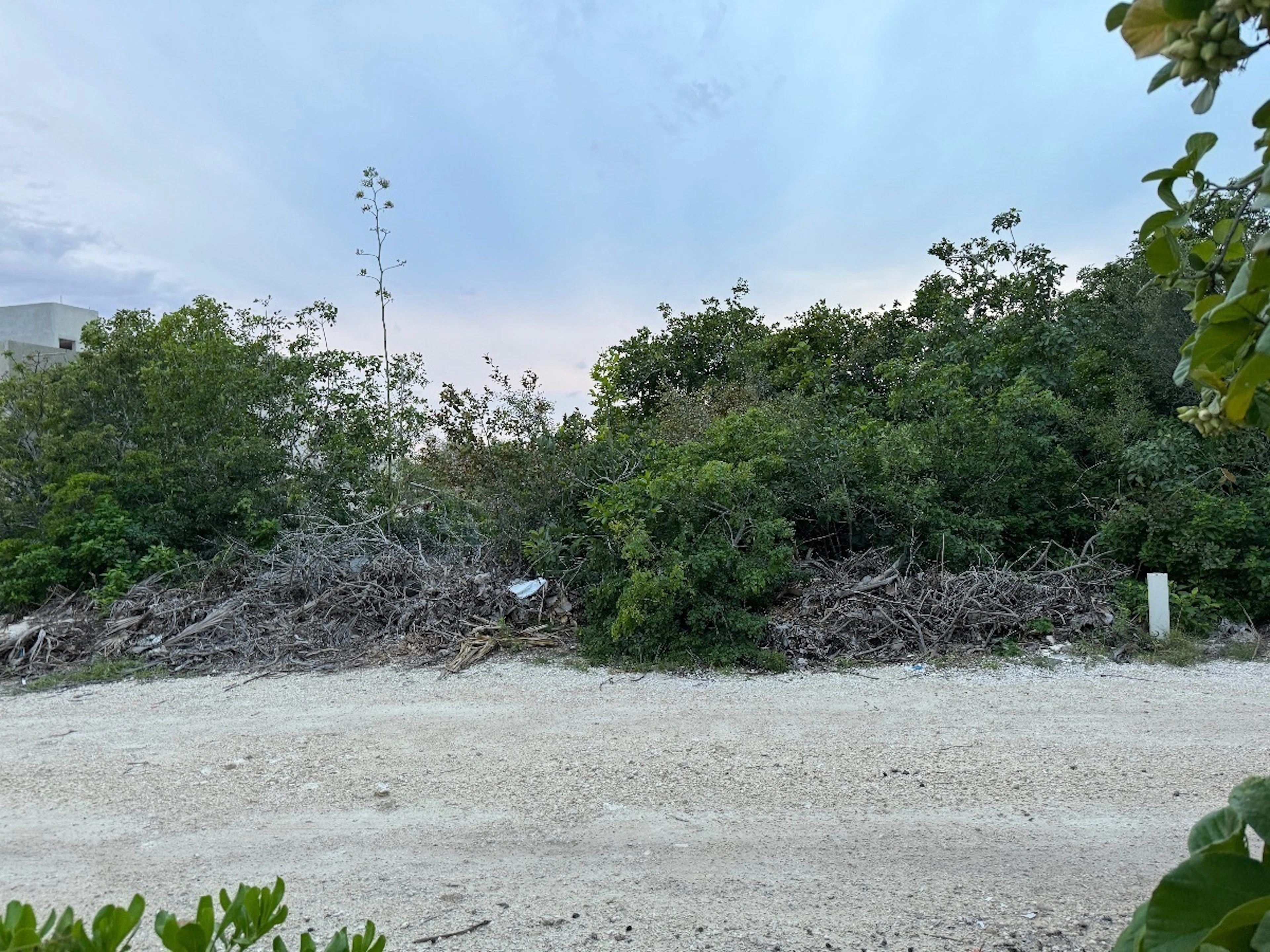 Terreno Spot2