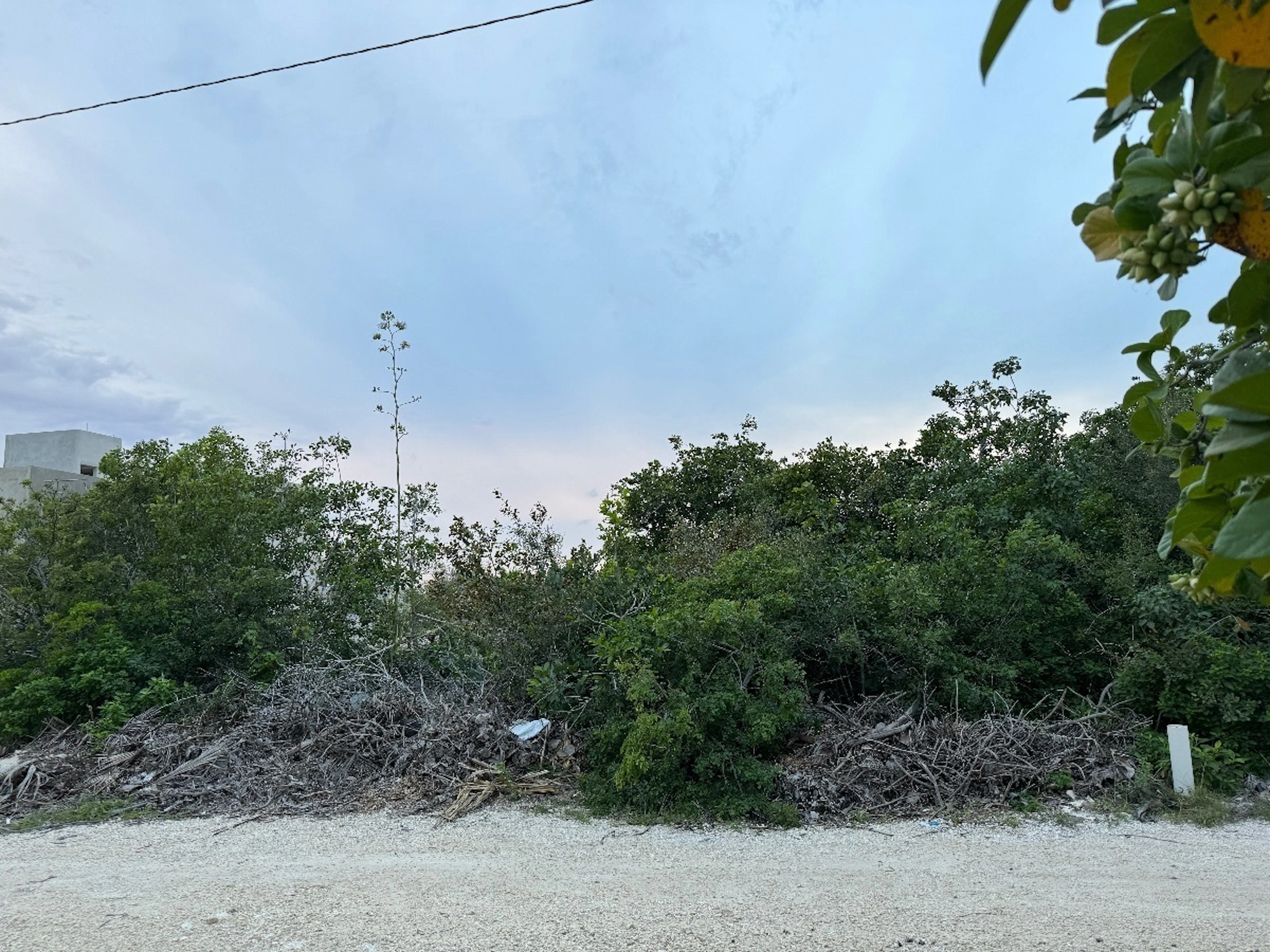 Terreno Spot2