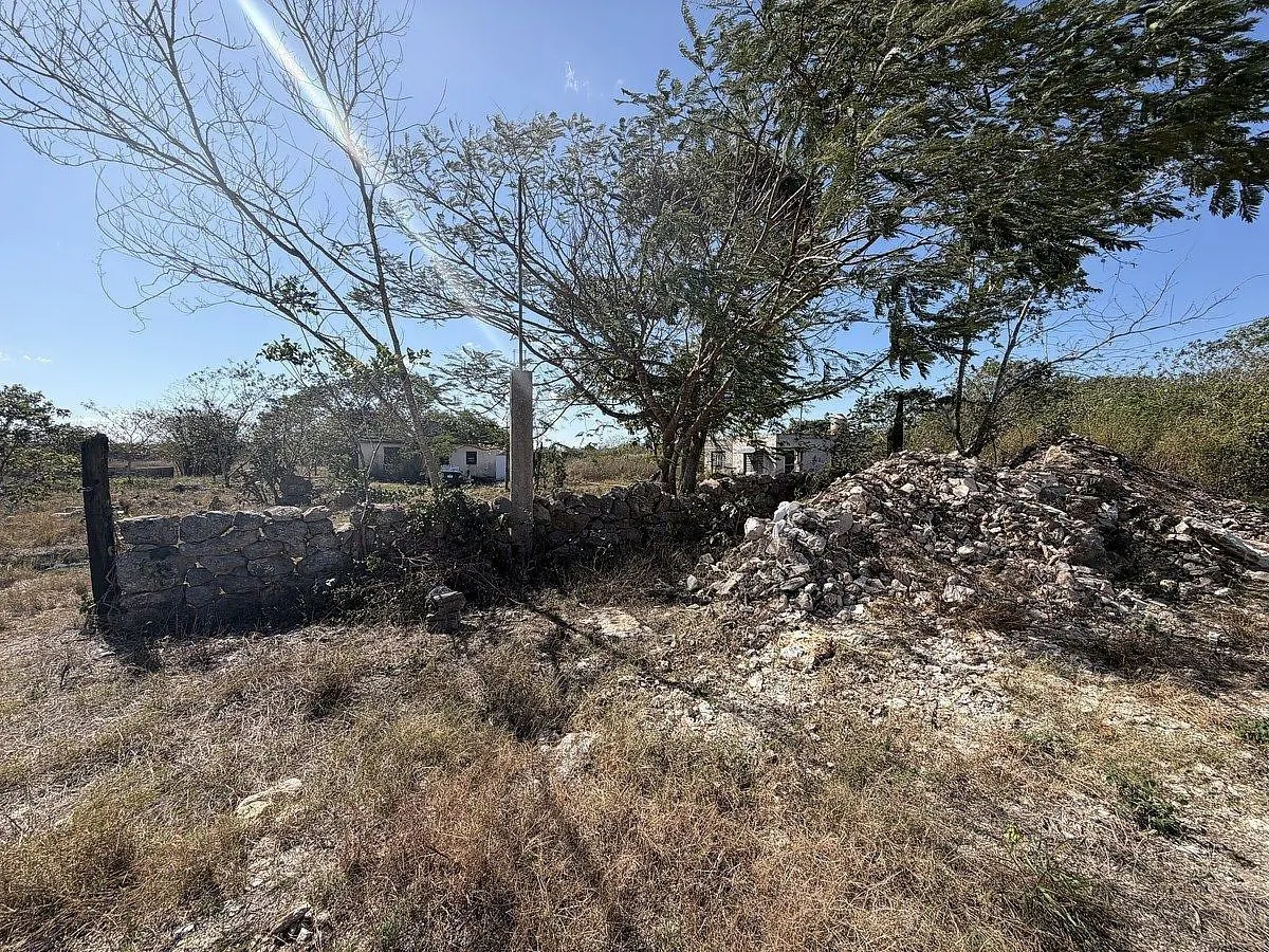 Terreno Spot2