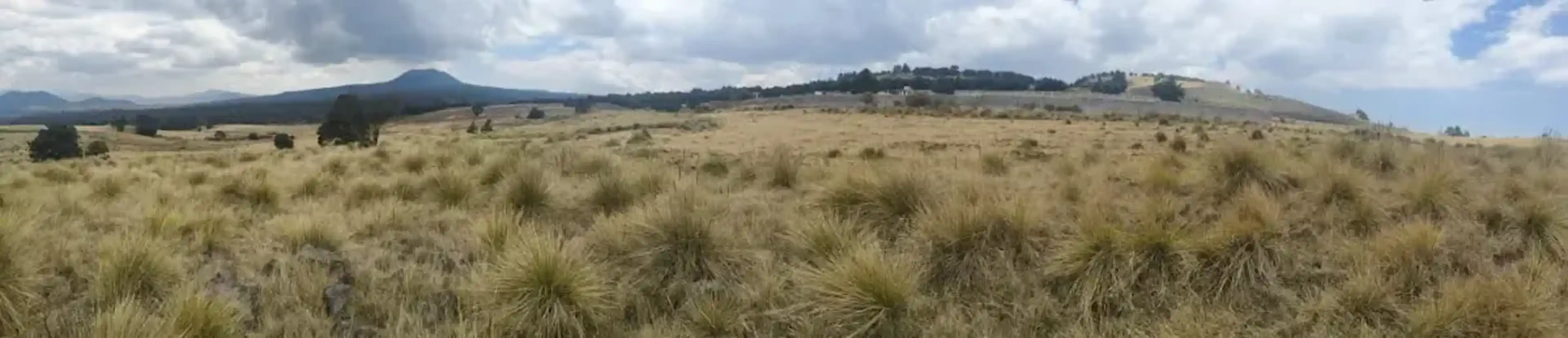 Terreno En Venta En Santo Tomas Ajusco, Tlalpan, Ciudad De México