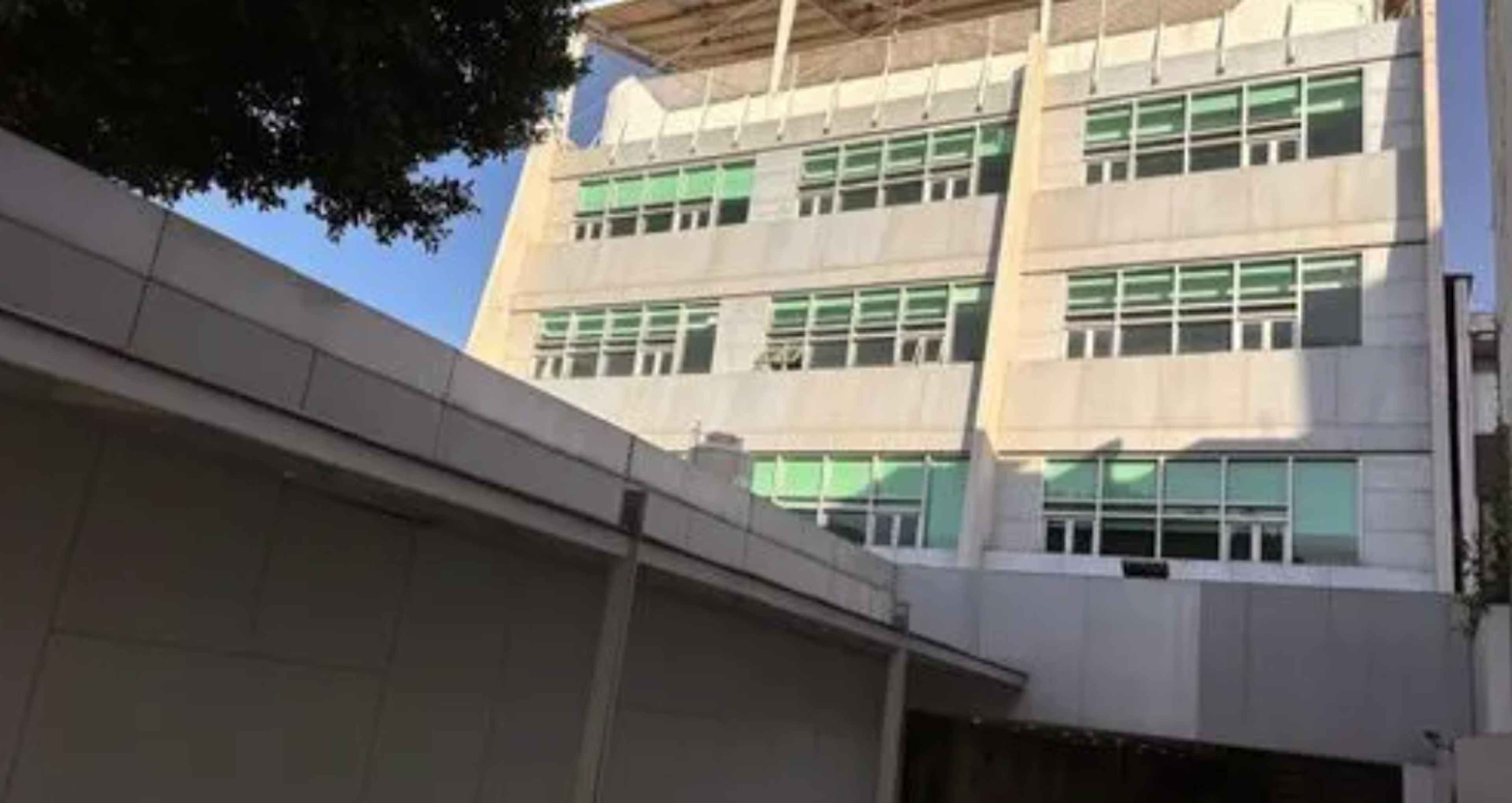 Calzada De Los Leones