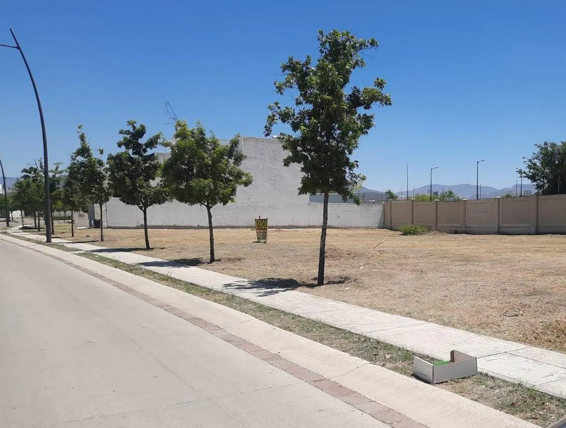 Terreno Spot2