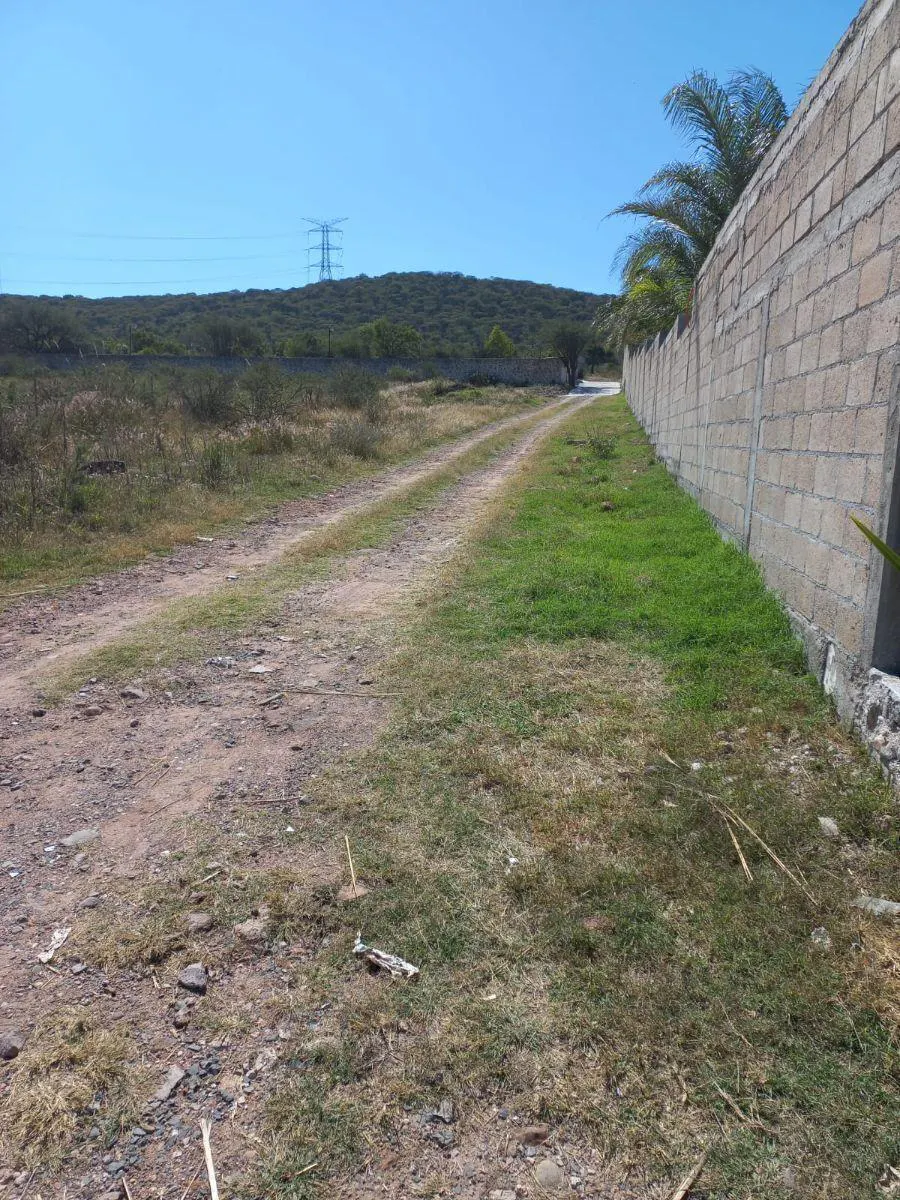 Terreno Spot2