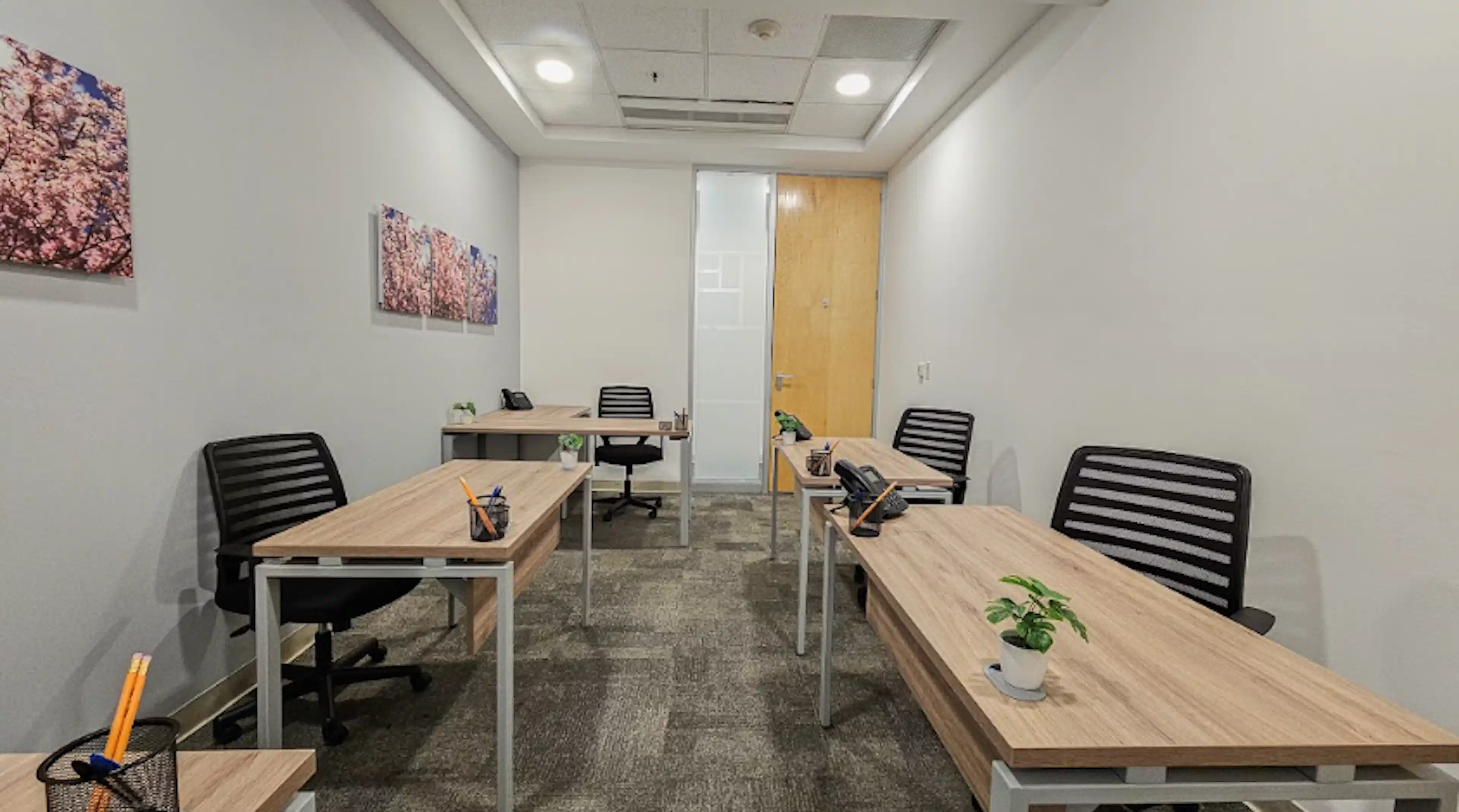 Oficina De 4-6 Personas