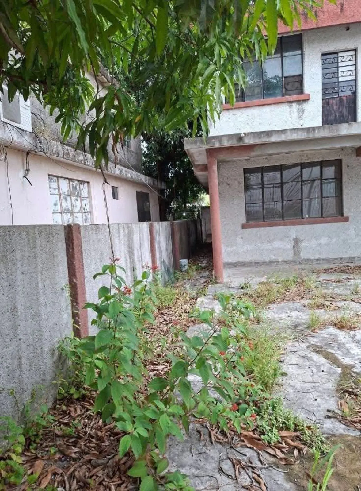 Terreno Spot2