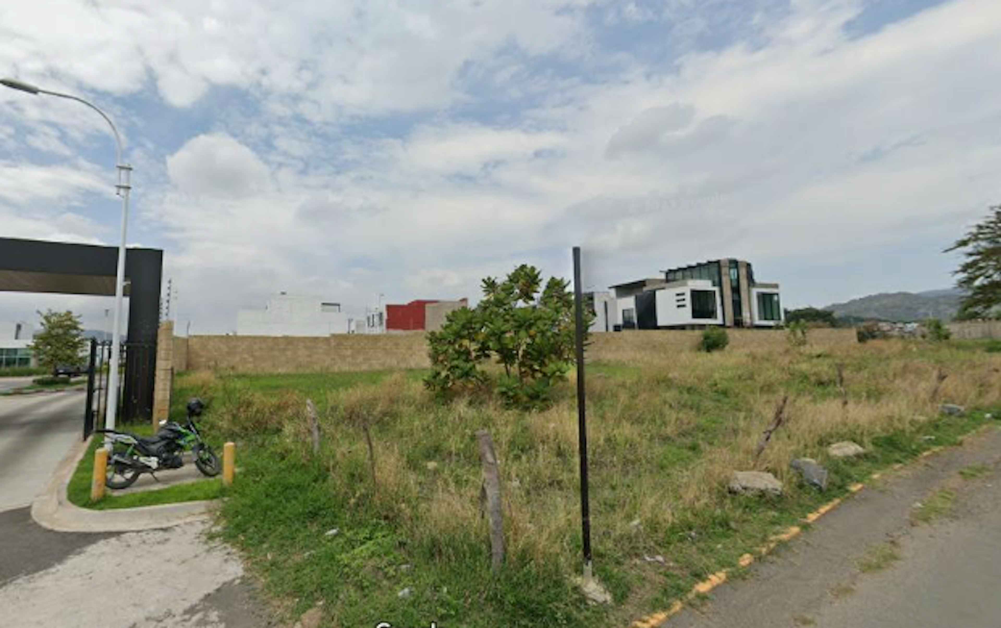 Avenida Arbolada Bosques De Santa Anita