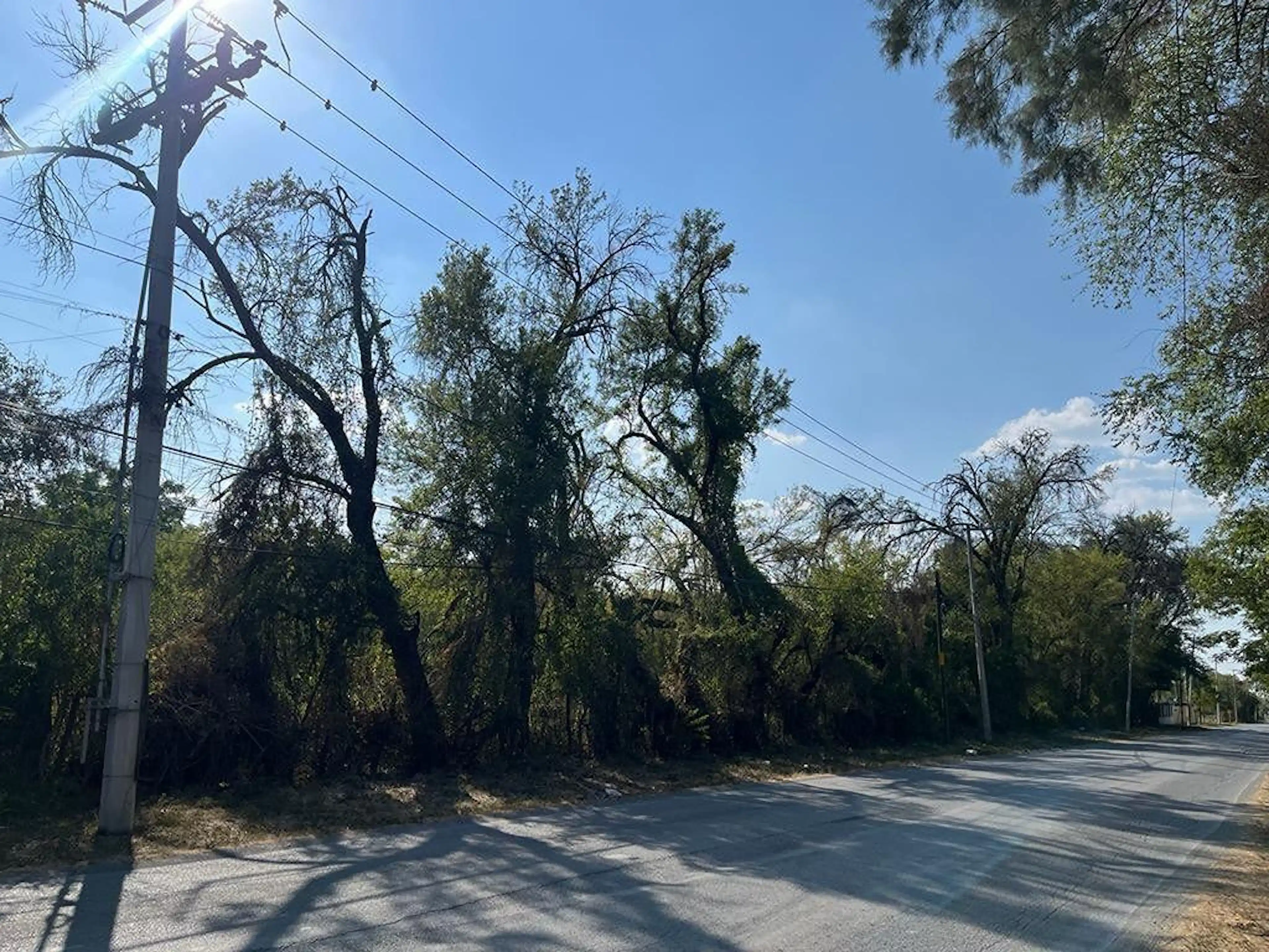 Terreno En Venta En El Centro De Montemorelos, Nuevo Leon