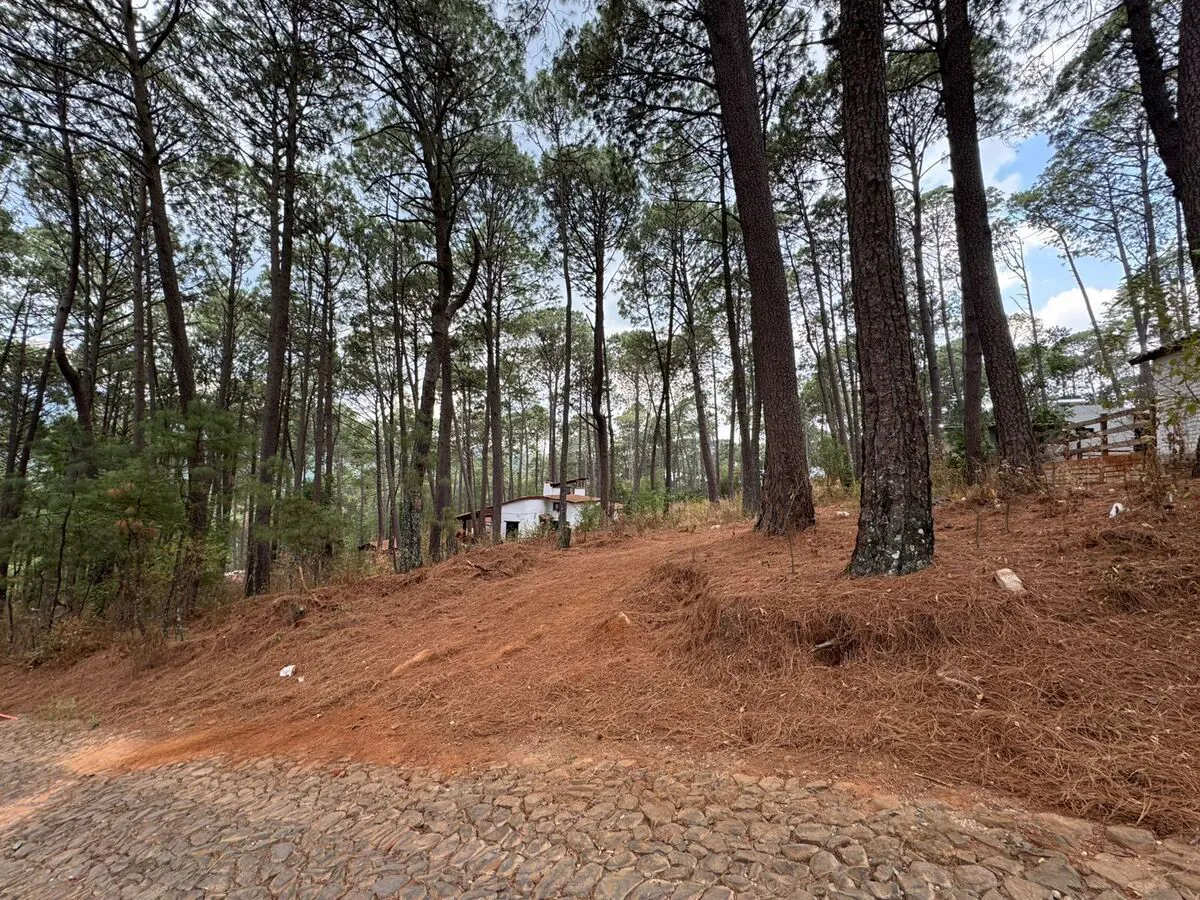 Terreno Spot2