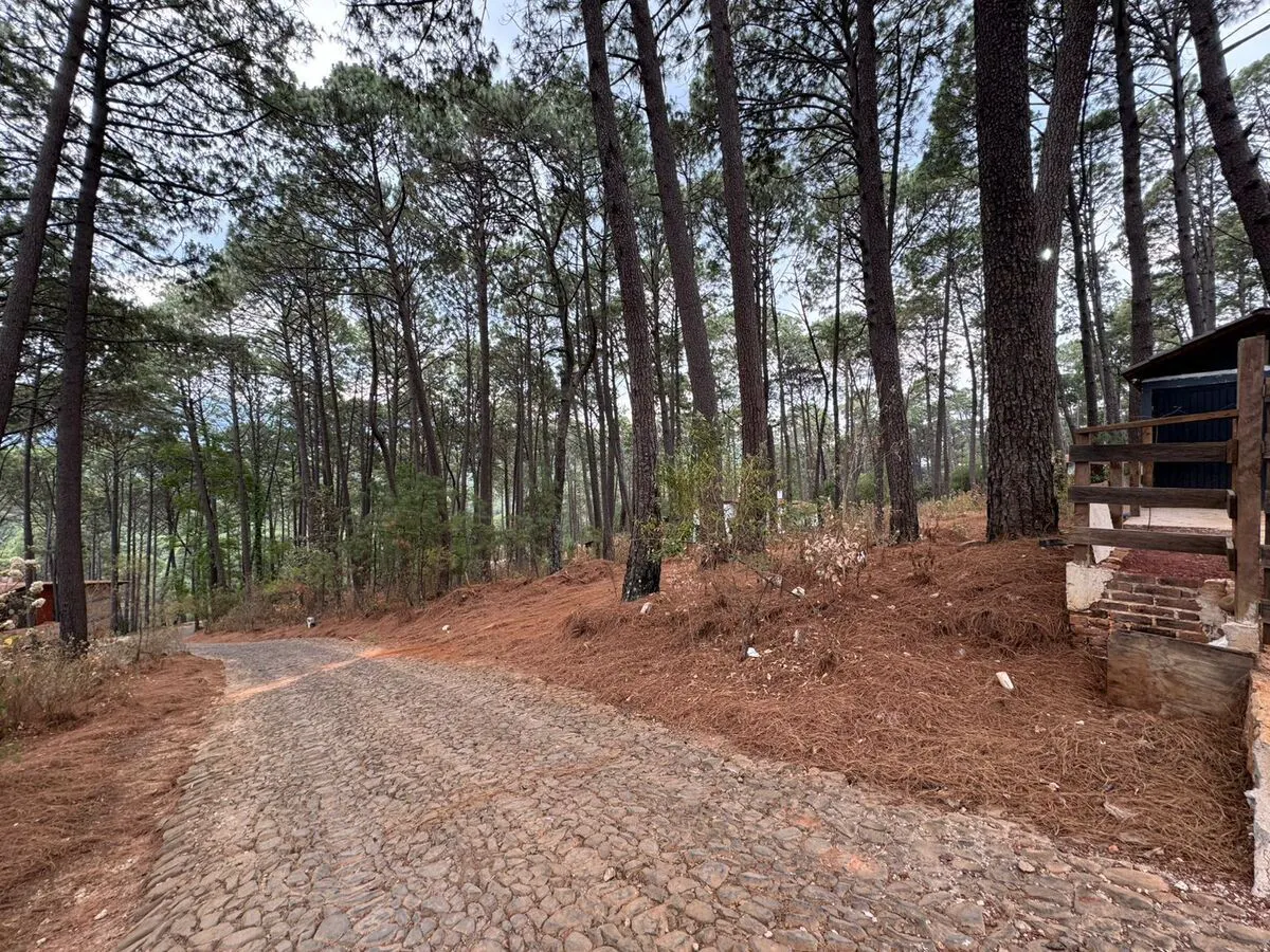 Terreno Spot2