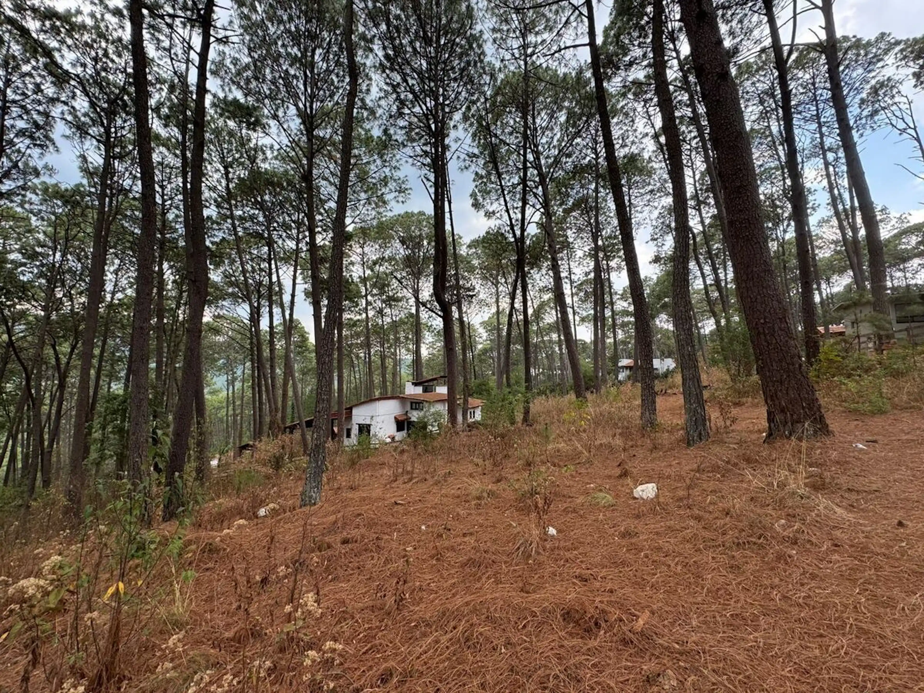 Terreno En Mazamitla